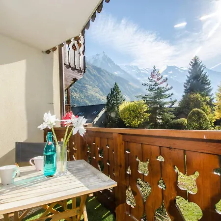 Chamonix-mont-blanc, 2 Pièces, 4 Personnes - Fr-1-343-163 Appartamento *